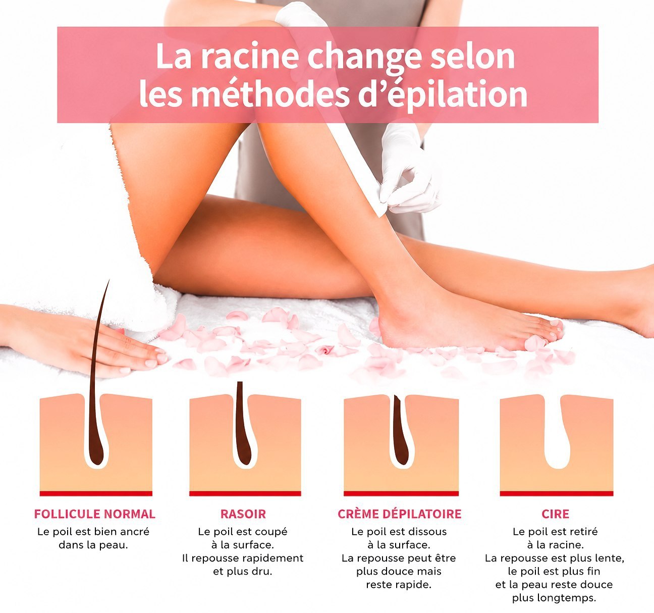 Chauffe-Cire Dépilatoire – Épilation Facile &amp; Peau Douce à Domicile ✨